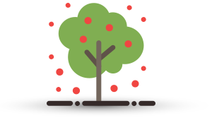 Gyümölcs minőség